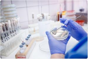 Microbial Identification Market