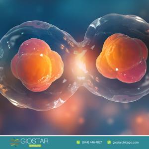Stem Cell Therapy, GIOSTAR Chicago