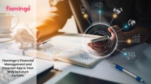 Flamingo’s Financial Management and Forecast App