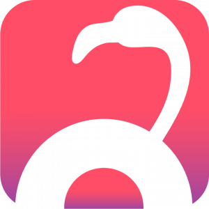flamingo tech