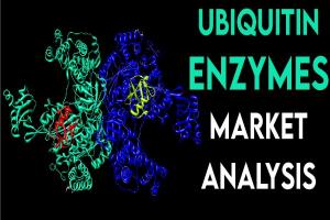 Ubiquitin Enzymes Market