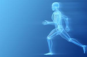 Bone and Joint Health Ingredients Market