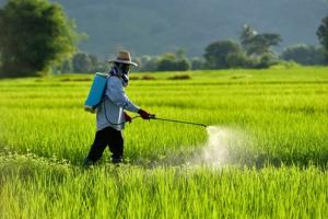 Indian Pesticides Market