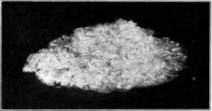 Silver Salt Market
