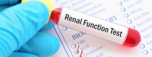 Kidney/Renal Function Test Market Report