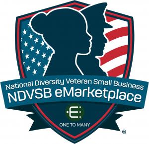 Creating Positive Economic Impact Through the NDVSB Program