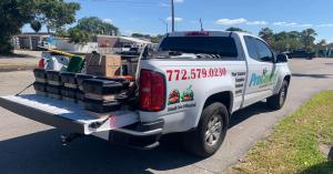Pests and Rodent Removal Services