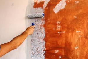 Construction Repaint Market