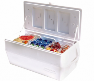Insulated Icebox Market Image, Size and Share