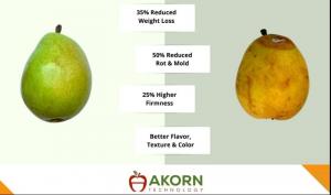 UM6P Ventures invests in Akorn Technology to reduce global food waste
