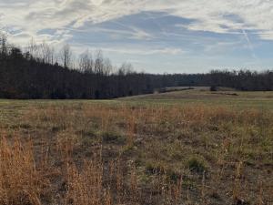 3 parcels of vacant land in Greene County, VA •	Parcels will be offered individually or in their entirety of 16.70 +/- acres •	Parcel #1:  2.0 +/- acres •	Parcel #2:  2.05 +/- acres •	Parcel #3:  12.65 +/- acres.  This parcel has 5 division rights.
