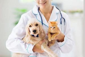 Animal Health Market Report