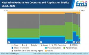 Hydrazine Hydrate Market