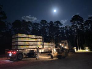 Honeybees from Palm Beach are heading to California to pollinate 1.6 million acres of almond trees.