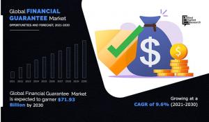 Finance Guarantee Market