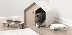 Pet Accessories Market Image, Size and Share