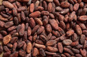Organic Cocoa Market