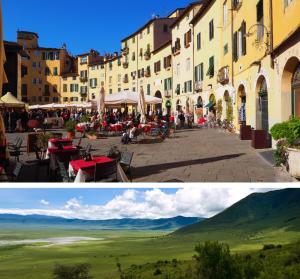 Figure 1. Compares a traditional built environment to an African Savannah view. The first is the Piazza dell’Anfiteatro, Lucca, Italy, a Roman amphitheater occupied with Medieval buildings sp just the footprint of the arena is visible. Walking 60 feet fro