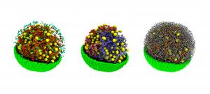 Computer-generated models of the synthetic minimal cell, JCVI-syn3A.