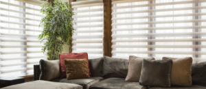Window Blinds Market Images, Size and Share