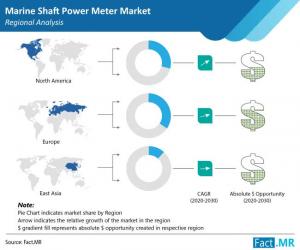 Marine Shaft Power Meter Market