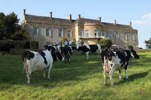 Lawn of North Cadbury Court, Somerset, England