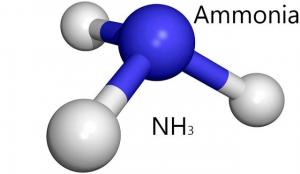 Ammonia Market