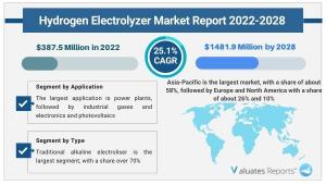 Hydrogen Electrolyzer Market Size by Type, Application, Region