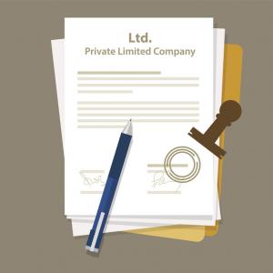 Vector of a white page with limited private company written as the header, on a beige background