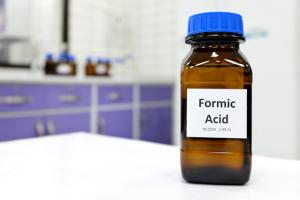 Formic Acid Market