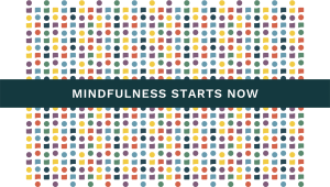 Mindfulness Starts Now as Mind Body Align supports educators with professional development.