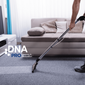 Carpet Cleaning