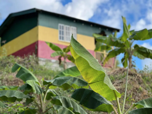 Casa Angola in St. Thomas Parish