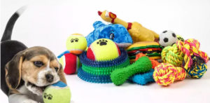 Pet Toys Market Images, Size and Share