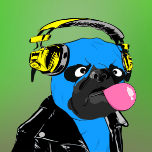 This is Grumpy Pug NFT #2697 for sale on https://opensea.io/collection/grumpypugs