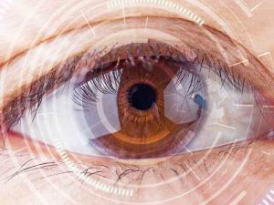 Bionic Vision