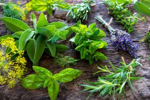 Fresh Herbs Market