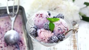 Plant Based Ice Cream Market