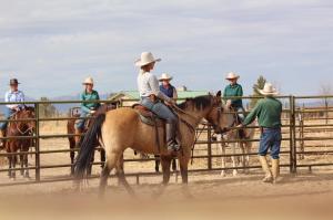 A small group of riding instructors from various parts of the USA gather to learn and create lasting bonds.