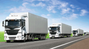 Global refrigerated road transport market