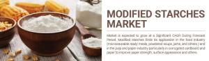 Modified Starches Market
