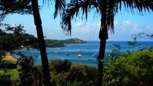 Pelicans dive in the crystal waters and mango to avoid the yachts bobbing on aquamarine water
