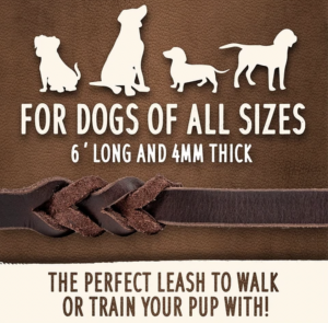 Mighty Paw's Braided Leather Dog Leash is great for all size dogs