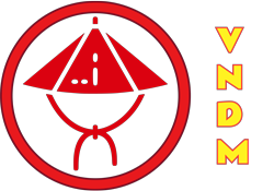 Vietnamese Dong VNDM Stable Coin Stabila Blockchain