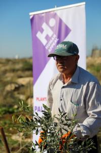 Representatives from Human Appeal plant olive trees in the West Bank