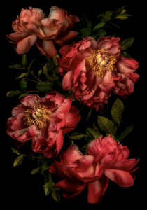 A fine art NFT by Gabriel Dean Roberts