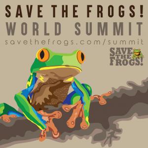 SAVE THE FROGS! World Summit Art by Frog Artist Kirsten Maclean