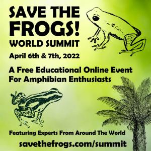 The SAVE THE FROGS! World Summit Is Open To All Frog Lovers!