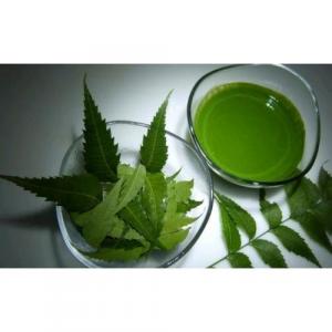 Neem-Extracts Market