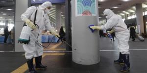 disinfestation, disinfection, and rodent control company
